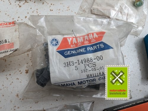 PXL_20240518_102402801